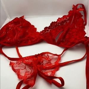 Lace panty and bra set
